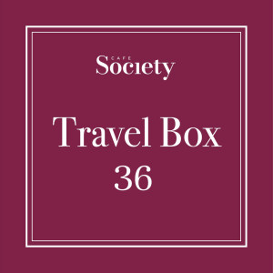 Travel box 36